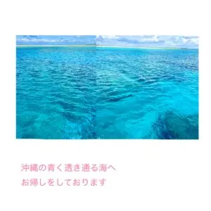 ペットの訪問火葬おはな